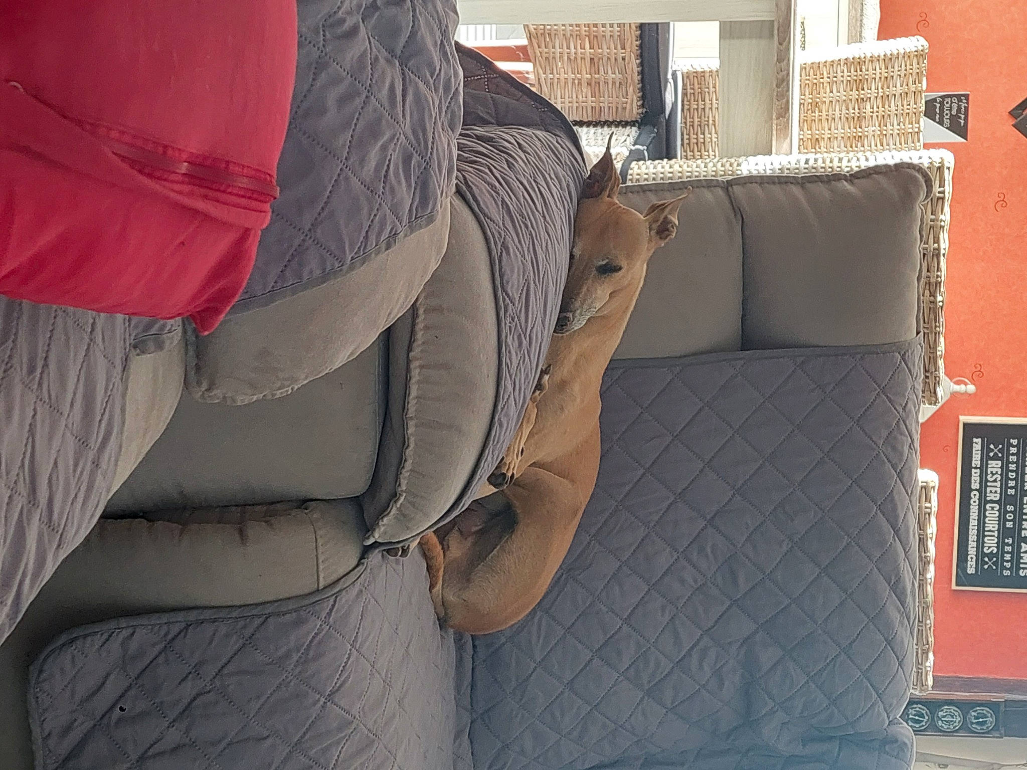 Lucky participe au concours pour gagner de l'argent avec cette photo : auto_part, automotive_design, car, car_seat, car_seat_cover, carmine, comfort, composite_material, family_car, head_restraint, luxury_vehicle, motor_vehicle, pattern, personal_luxury_car, tints_and_shades, vehicle, vehicle_door