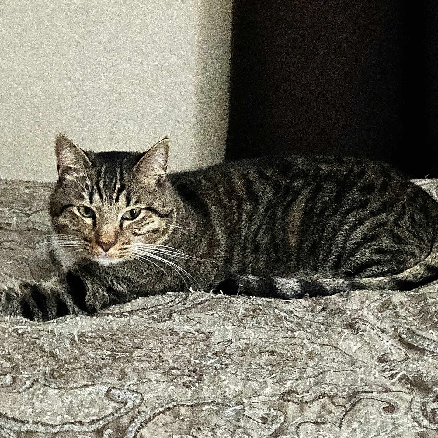 Tigger