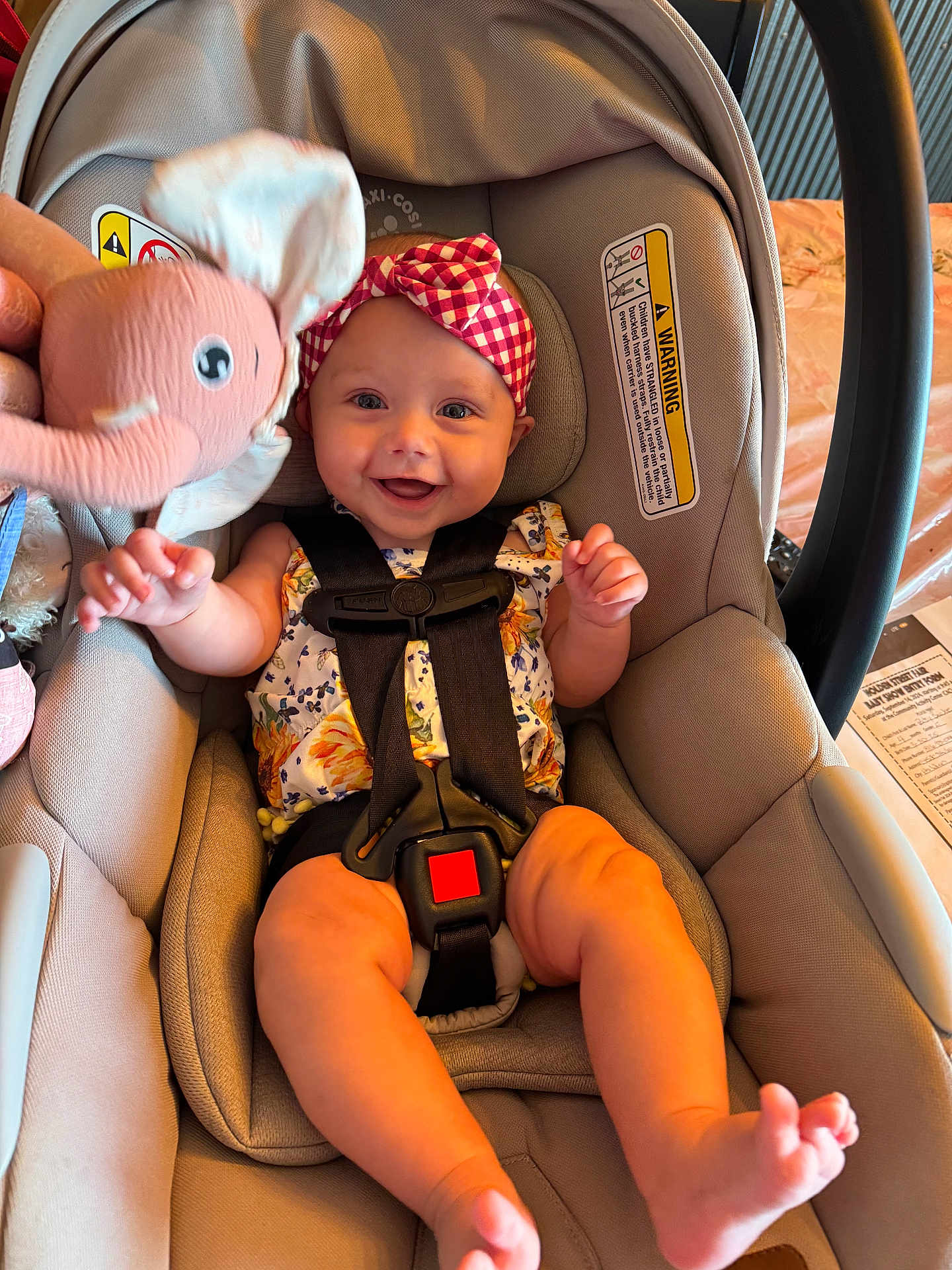 Patsy joined the competition — help win amazing prizes! baby, car_seat, child, clothing, cute, elephant_toy, fabric, foot, hand, happy, headband, indoors, infant, leg, person, plush_toy, safety, seat, smiling, straps