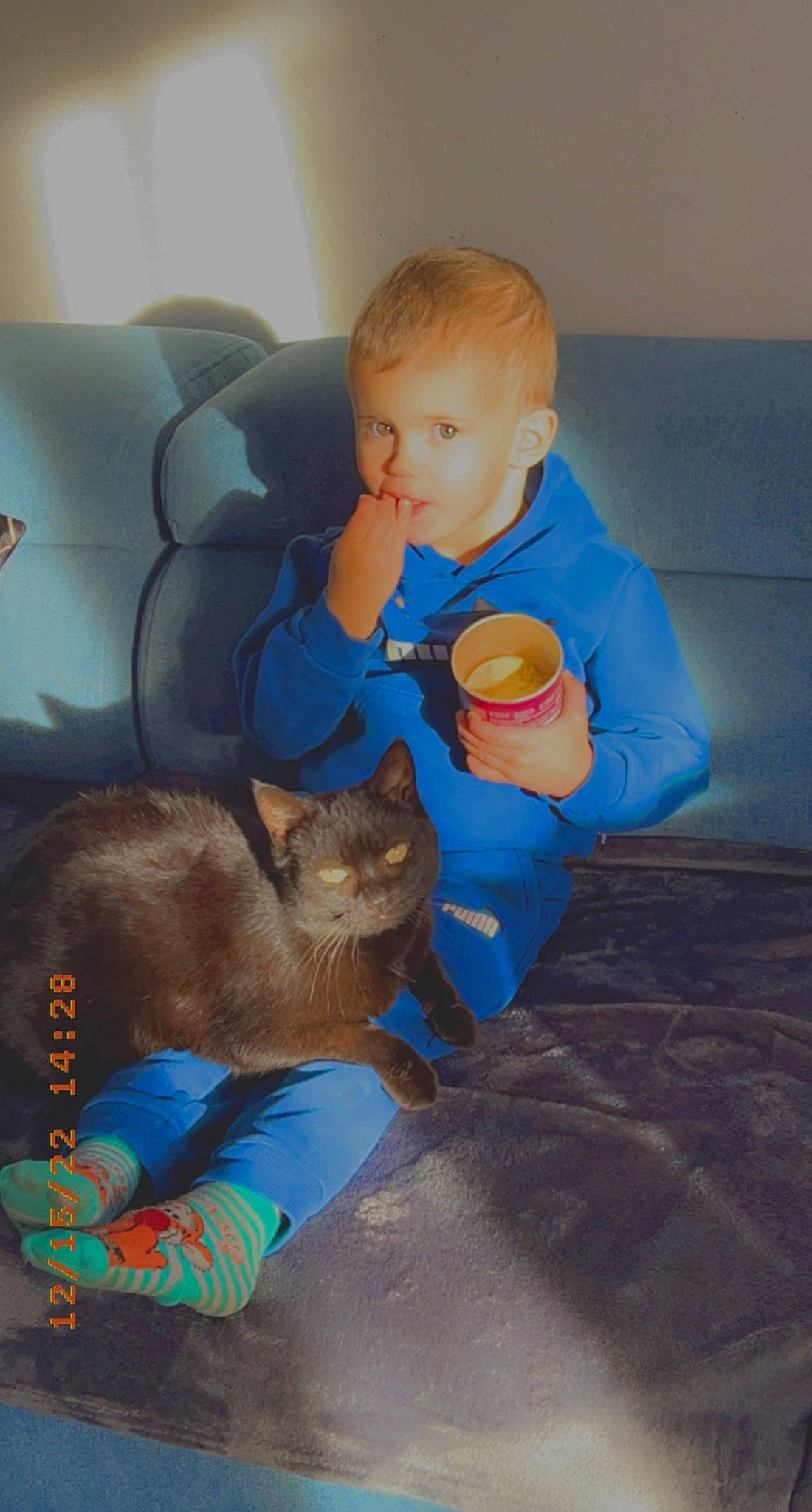 Mayron a rejoint le concours — aidez-le/la à gagner de superbes lots ! baby, carnivore, cat, child, comfort, companion_dog, couch, dog_breed, domestic_short_haired_cat, felidae, flooring, fun, fur, lap, person, play, sitting, small_to_medium_sized_cats, tail, toddler