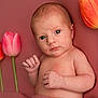 Lyah a rejoint le concours — aidez-le/la à gagner de superbes lots ! baby, child, colorful, cute, eyes, flora, flower, flower_stem, head, infant, innocence, lying_down, nature, newborn, pink_background, portrait, skin, small_hands, soft_texture, tulip