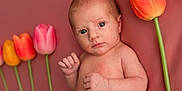 Lyah participe au concours pour gagner de l'argent avec cette photo : baby, child, colorful, cute, eyes, flora, flower, flower_stem, head, infant, innocence, lying_down, nature, newborn, pink_background, portrait, skin, small_hands, soft_texture, tulip