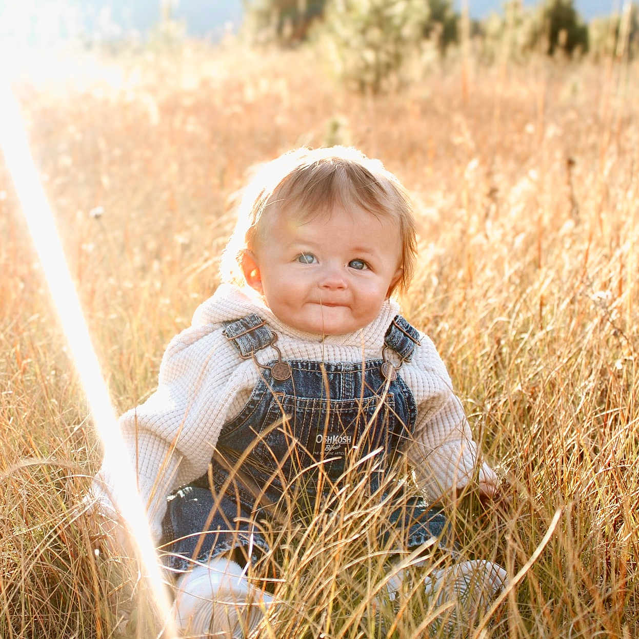 Callum is registered to the contest to win money with this photo: baby, child, portrait, smiling, sitting, outdoor, meadow, grass, field, sunlight, golden_hour, denim_overalls, sweater, blond_hair, blue_eyes, face, nature, countryside, infant, photography