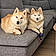 Looky Et Versa