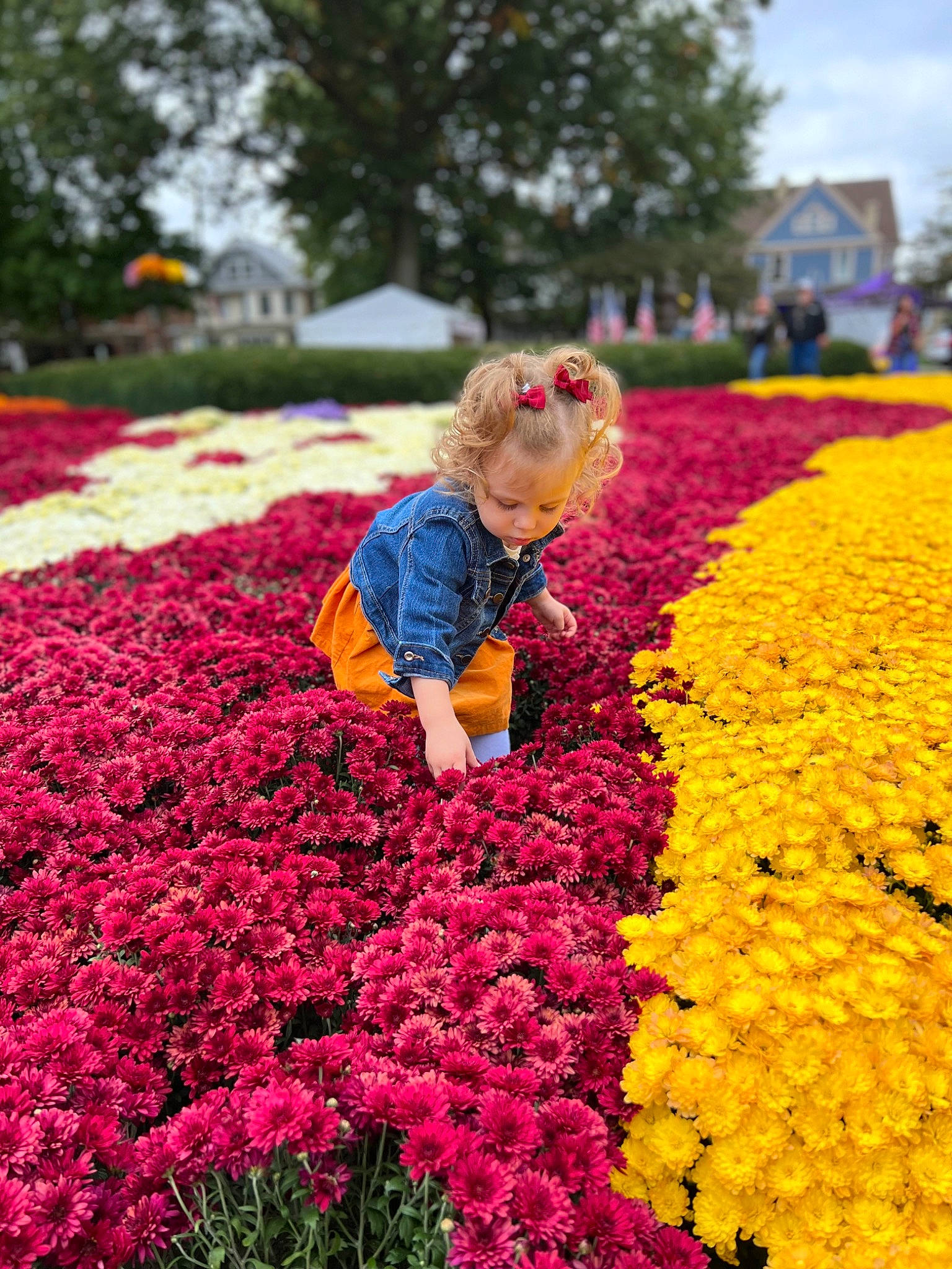 Aleksandra is registered to the contest to win money with this photo: annual_plant, botany, flower, flowering_plant, garden, grass, groundcover, happy, herbaceous_plant, landscape, magenta, people_in_nature, person, petal, pink, plant, red, shrub, sky, summer
