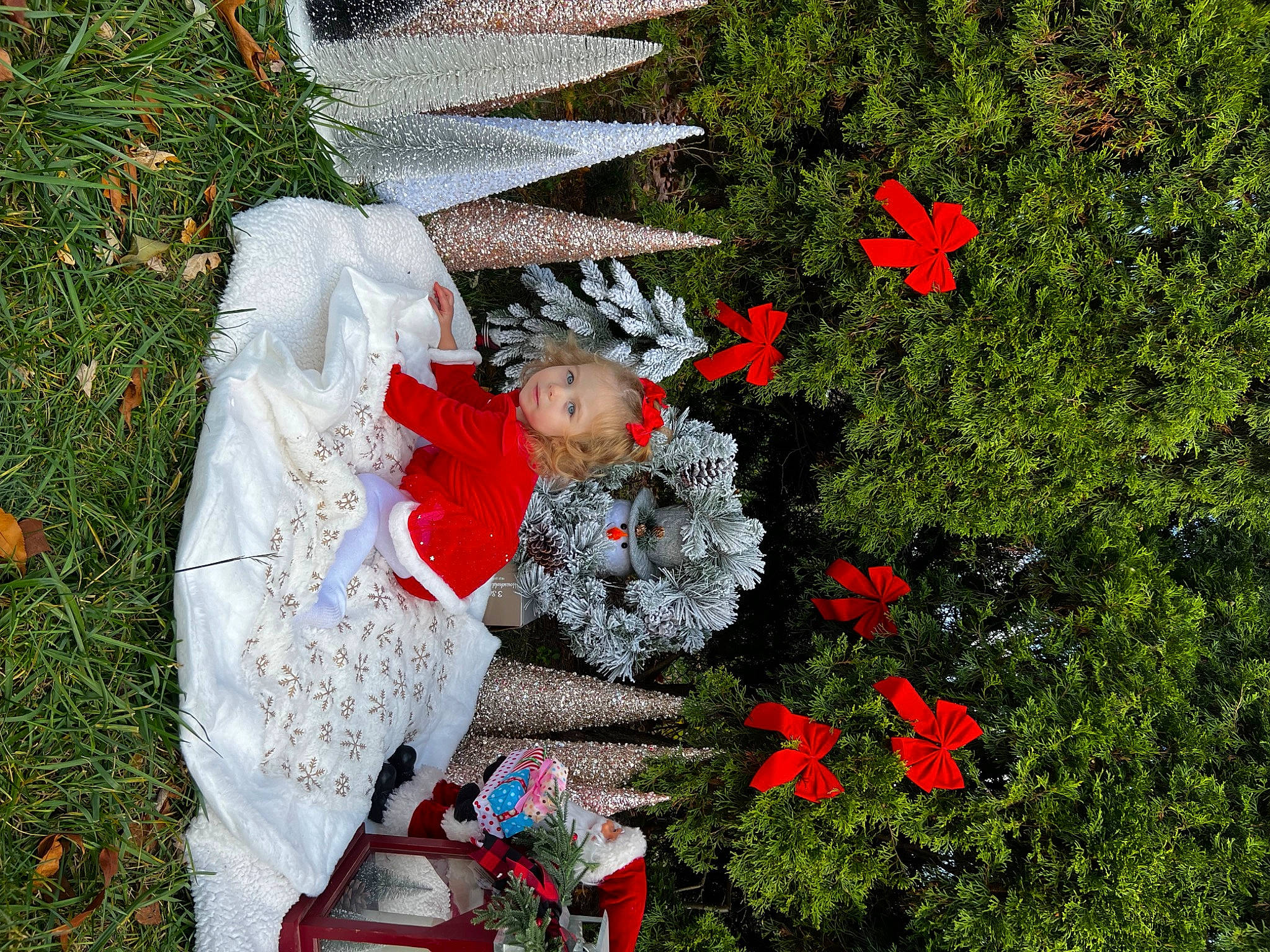 Aleksandra joined the competition — help win amazing prizes! annual_plant, carmine, christmas, christmas_decoration, christmas_ornament, conifer, event, evergreen, garden, grass, groundcover, holiday, holiday_ornament, lawn, lawn_ornament, person, petal, plant, red, shrub