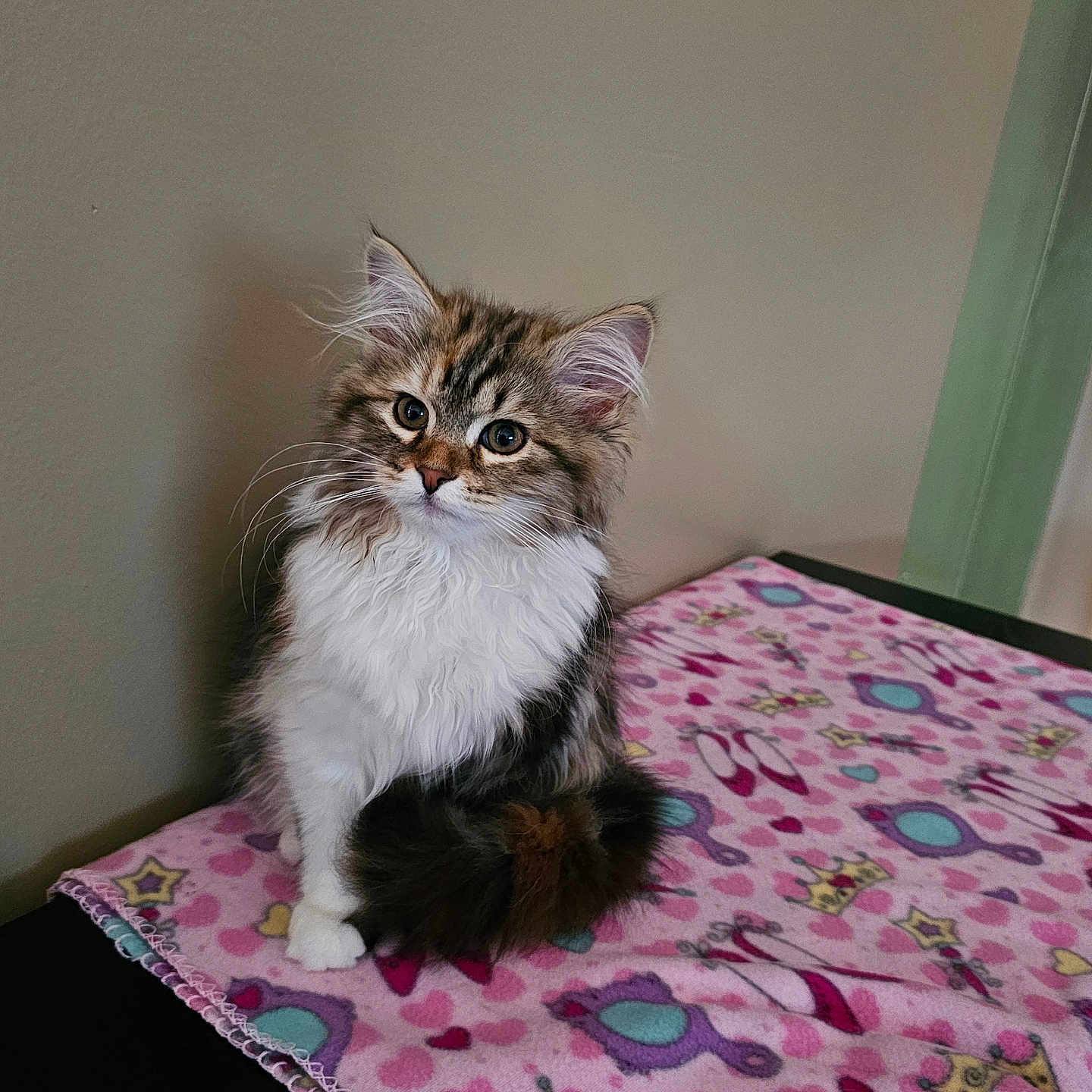 Willow