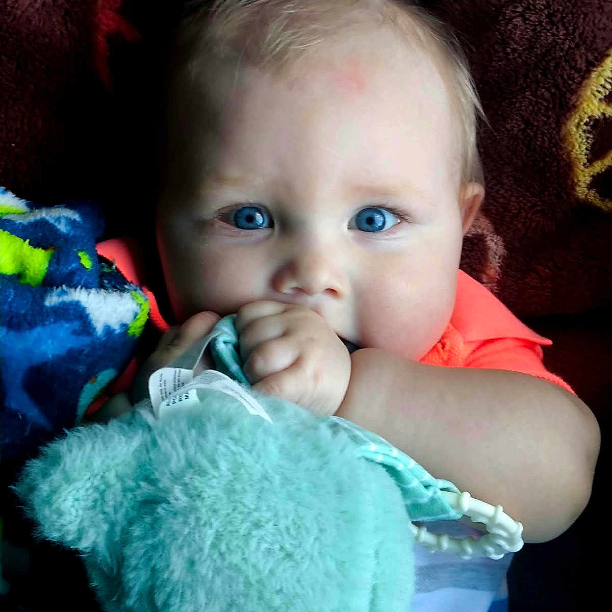 Ventus is registered to the contest to win money with this photo: baby, blanket, blue_eyes, child, close_up, clothing, colorful, cozy, curious, cute, face, hand, indoor, infant, person, plush, portrait, soft_toy, stuffed_animal, toddler