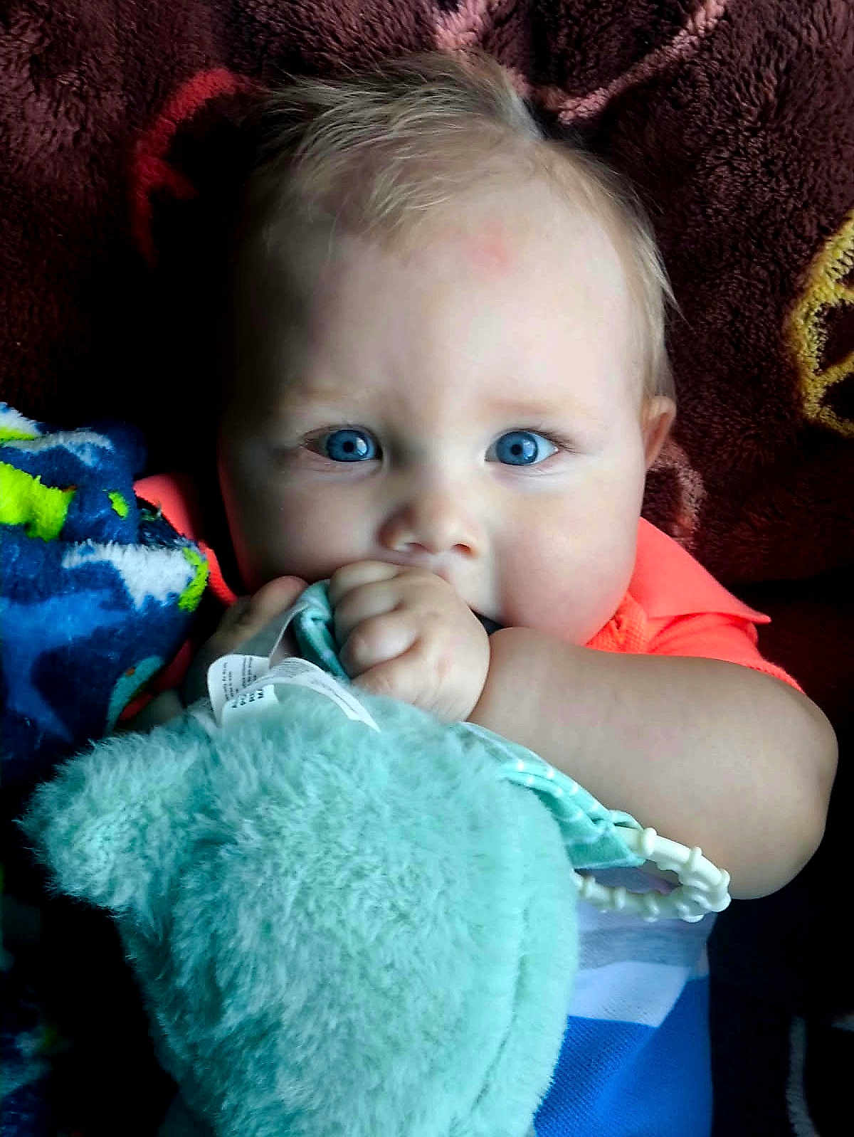 Ventus is registered to the contest to win money with this photo: baby, child, blue_eyes, stuffed_animal, blanket, soft_toy, infant, close_up, face, hand, curious, cute, indoor, cozy, plush, person, portrait, toddler, clothing, colorful