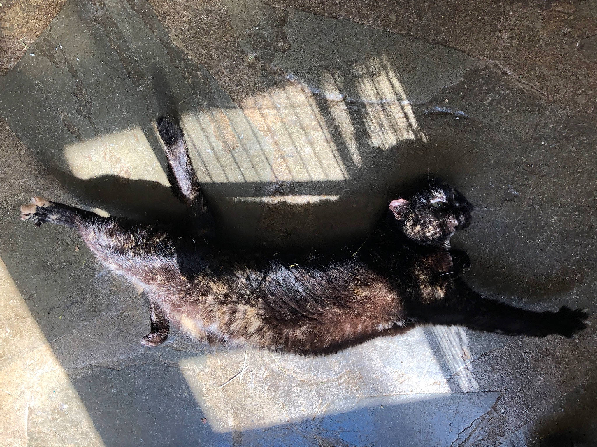 Nikita is registered to the contest to win money with this photo: