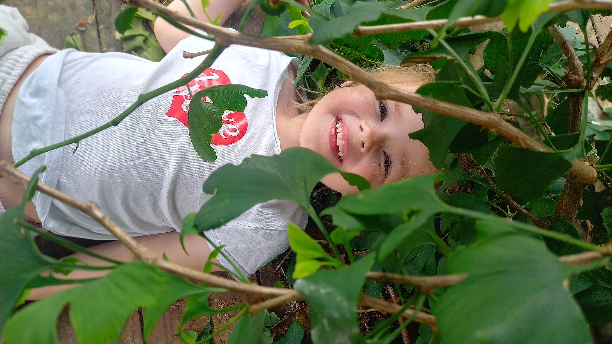 Alice participe au concours pour gagner de l'argent avec cette photo : carmine, child, doll, fawn, forest, garden, grass, happy, hat, headwear, joy, jungle, lawn_ornament, leaf, leisure, people_in_nature, person, plant, plant_stem, terrestrial_plant