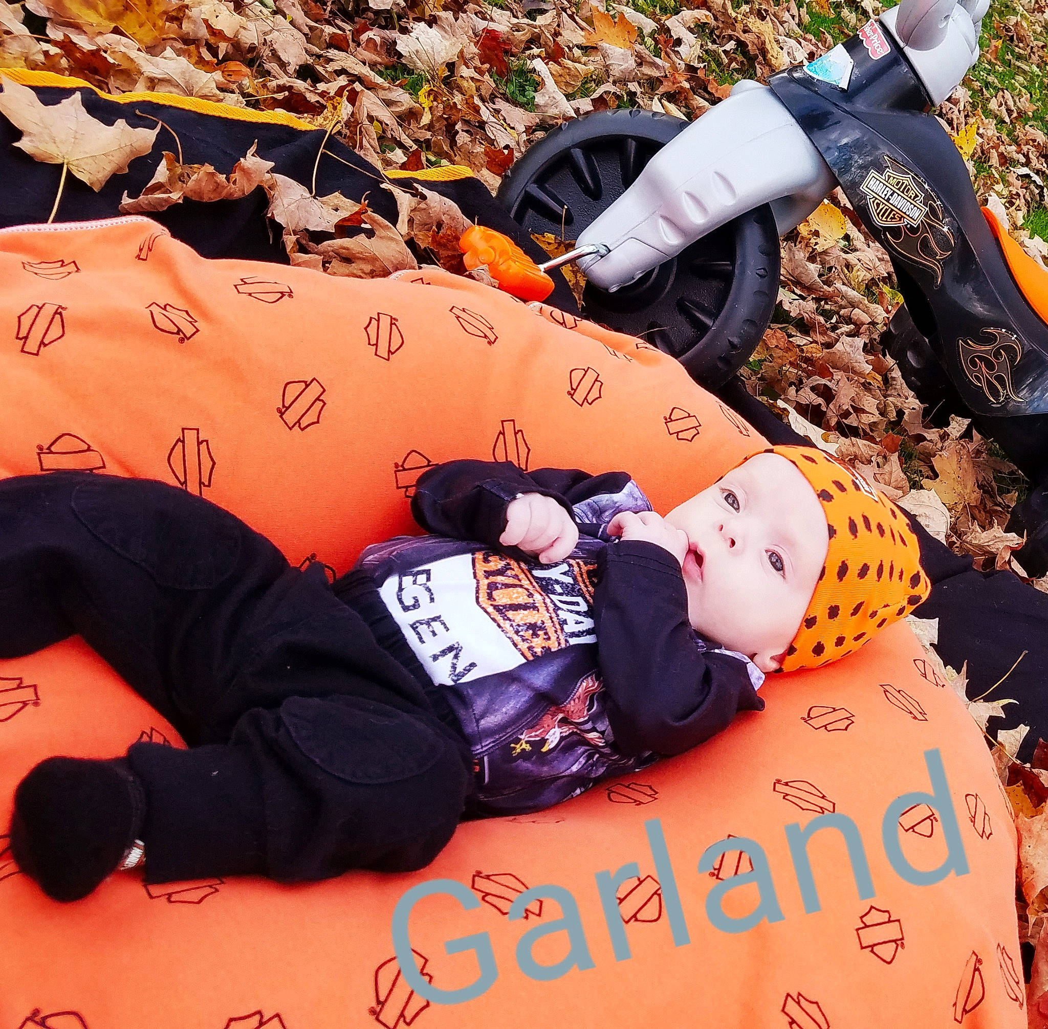 Garland joined the competition — help win amazing prizes! baby, baby_products, baby_toddler_clothing, beanie, comfort, glove, nap, orange, person, plush, sleep, stuffed_toy