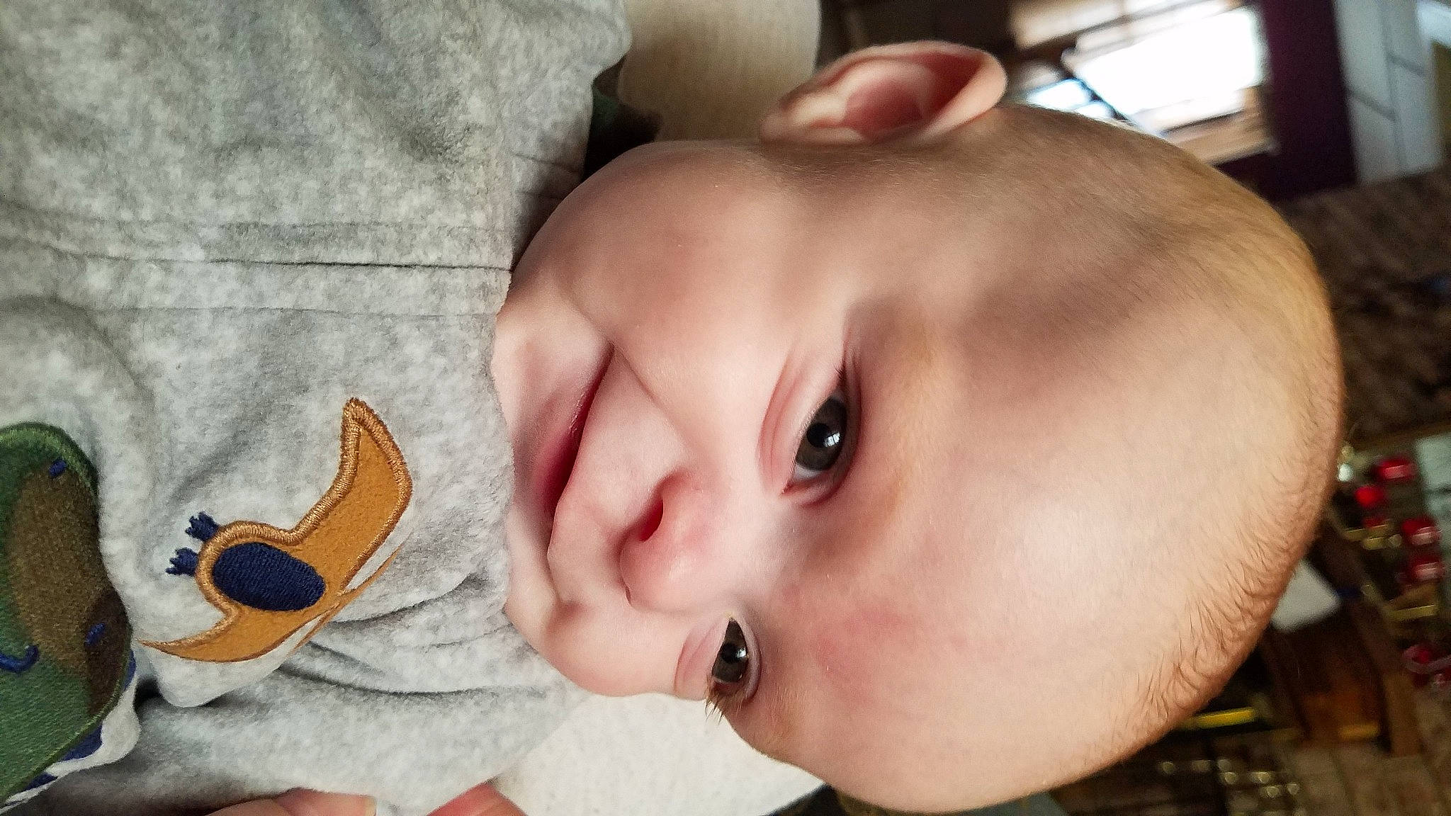 Garland joined the competition — help win amazing prizes! baby, baby_products, baby_toddler_clothing, cheek, child, chin, ear, eyebrow, eyelash, forehead, human, linens, lip, organ, person, plush, portrait_photography, skin, stuffed_toy, toddler