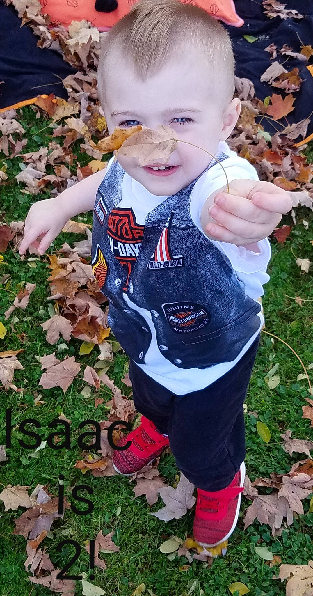 Isaac is registered to the contest to win money with this photo: active_pants, baby, baby_toddler_clothing, carmine, child, cool, face, groundcover, hand, human, human_body, leaf, mammal, mouth, nose, people_in_nature, person, shoe, sock, sweatpant