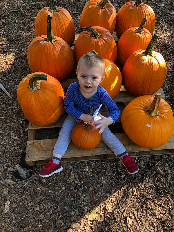 Isaac is registered to the contest to win money with this photo: _and_melon_family, _gourd, calabaza, cucumber, cucurbita, fruit, gourd, holiday, local_food, natural_foods, orange, person, produce, pumpkin, squash, staple_food, vegan_nutrition, vegetable, whole_food, winter_squash
