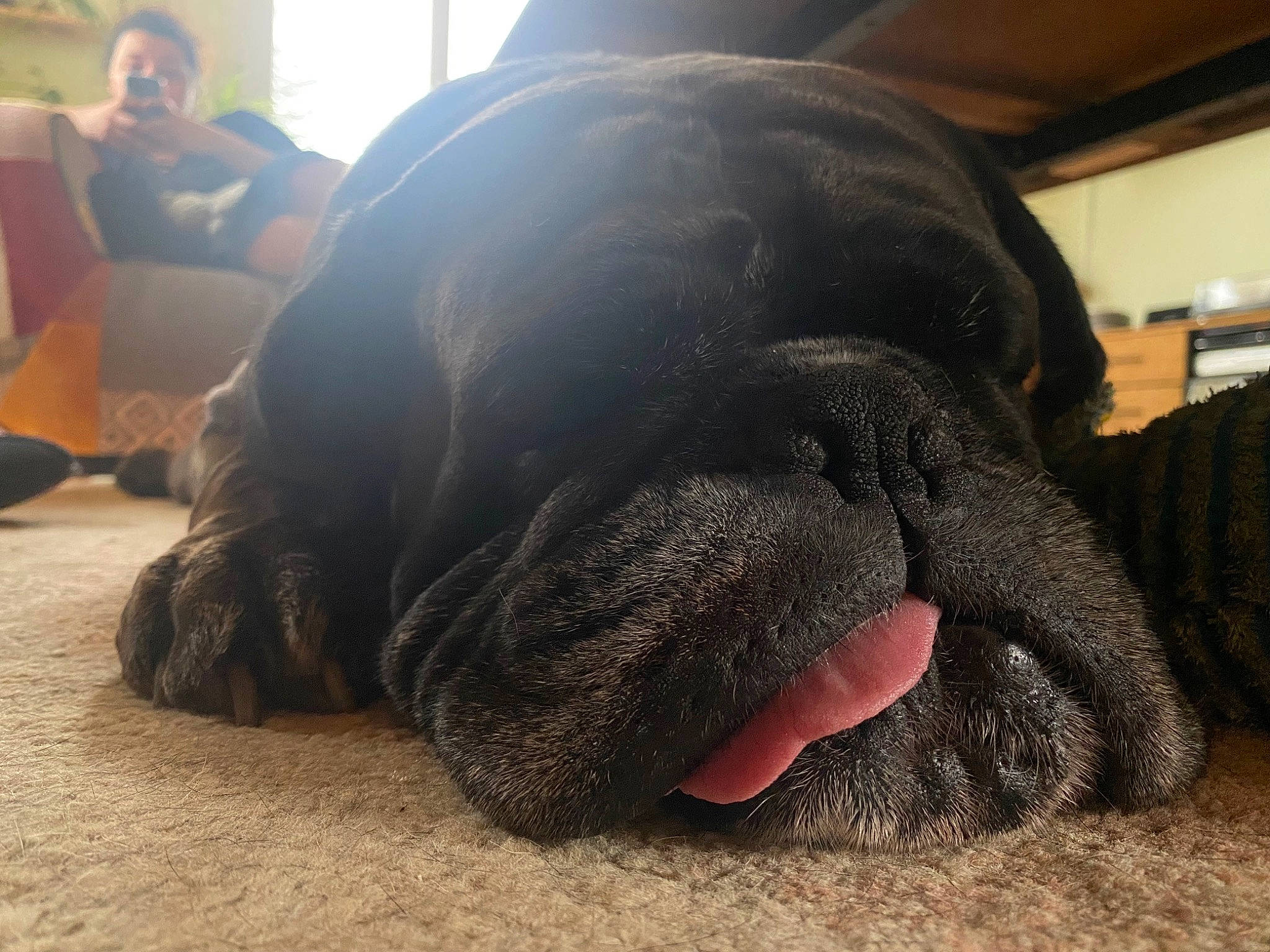 Max