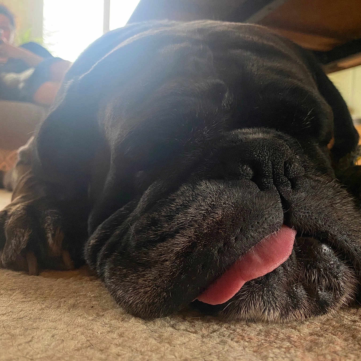 Max
