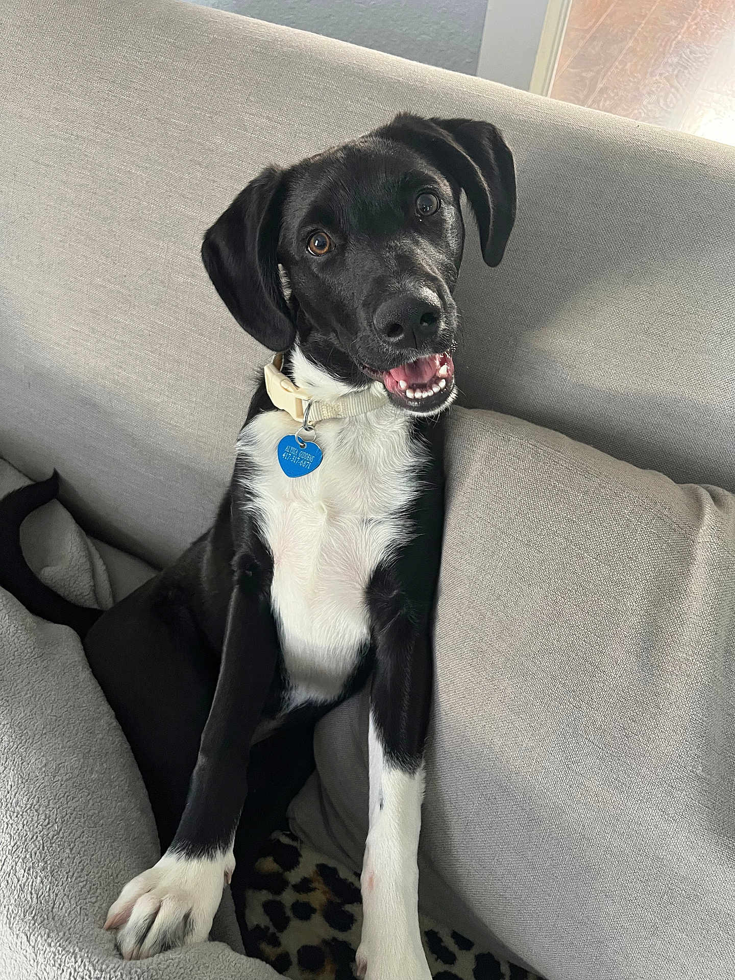 Tobi