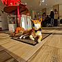 dog, shiba_inu, bow_tie, indoor, salon, wooden_floor, rug, table, sunlight, shadow, person, stylist, customer, chair, mirror, shelf, bottle, decor, modern, casual