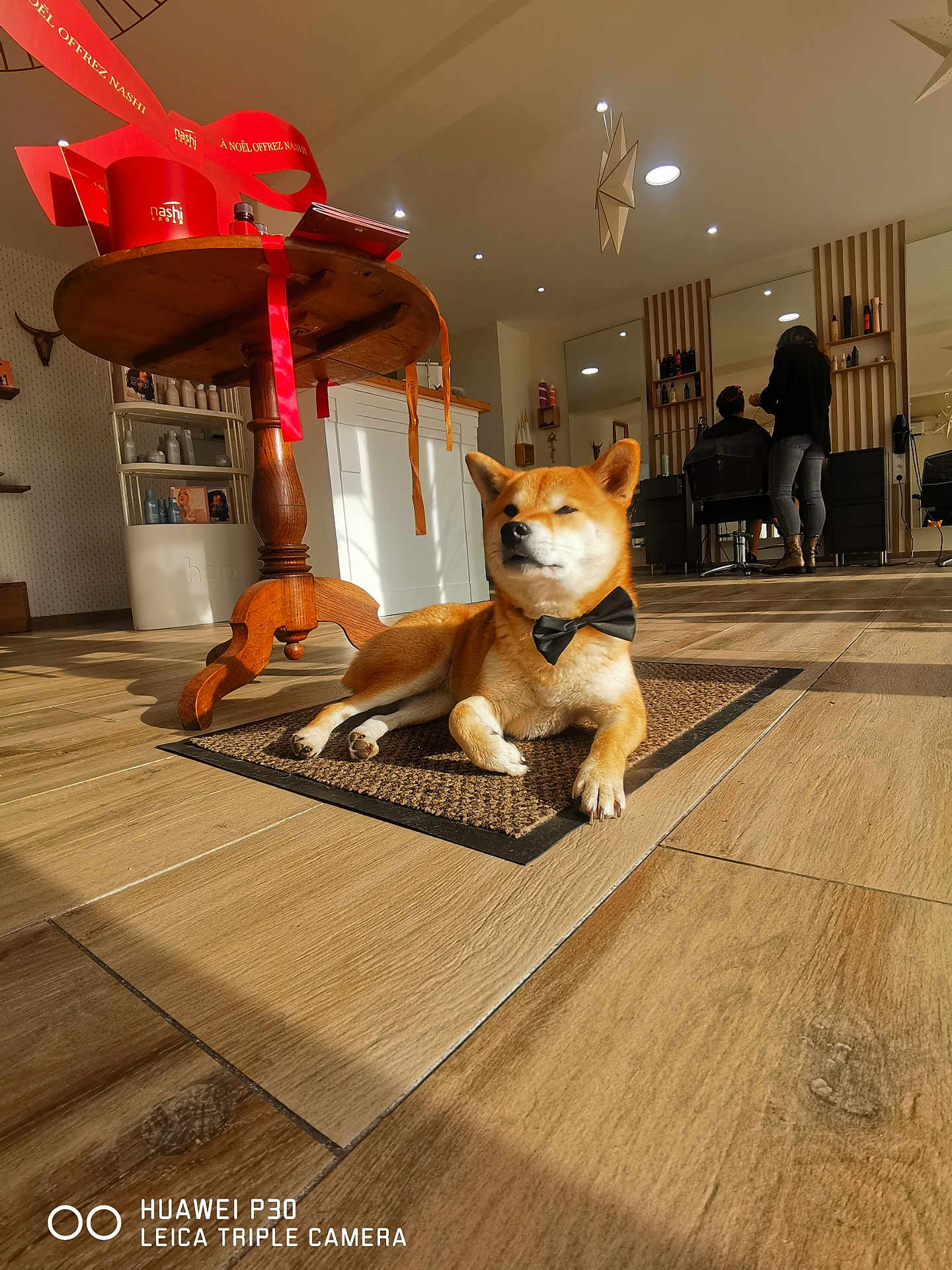 Yuna a rejoint le concours — aidez-le/la à gagner de superbes lots ! dog, shiba_inu, bow_tie, indoor, salon, wooden_floor, rug, table, sunlight, shadow, person, stylist, customer, chair, mirror, shelf, bottle, decor, modern, casual