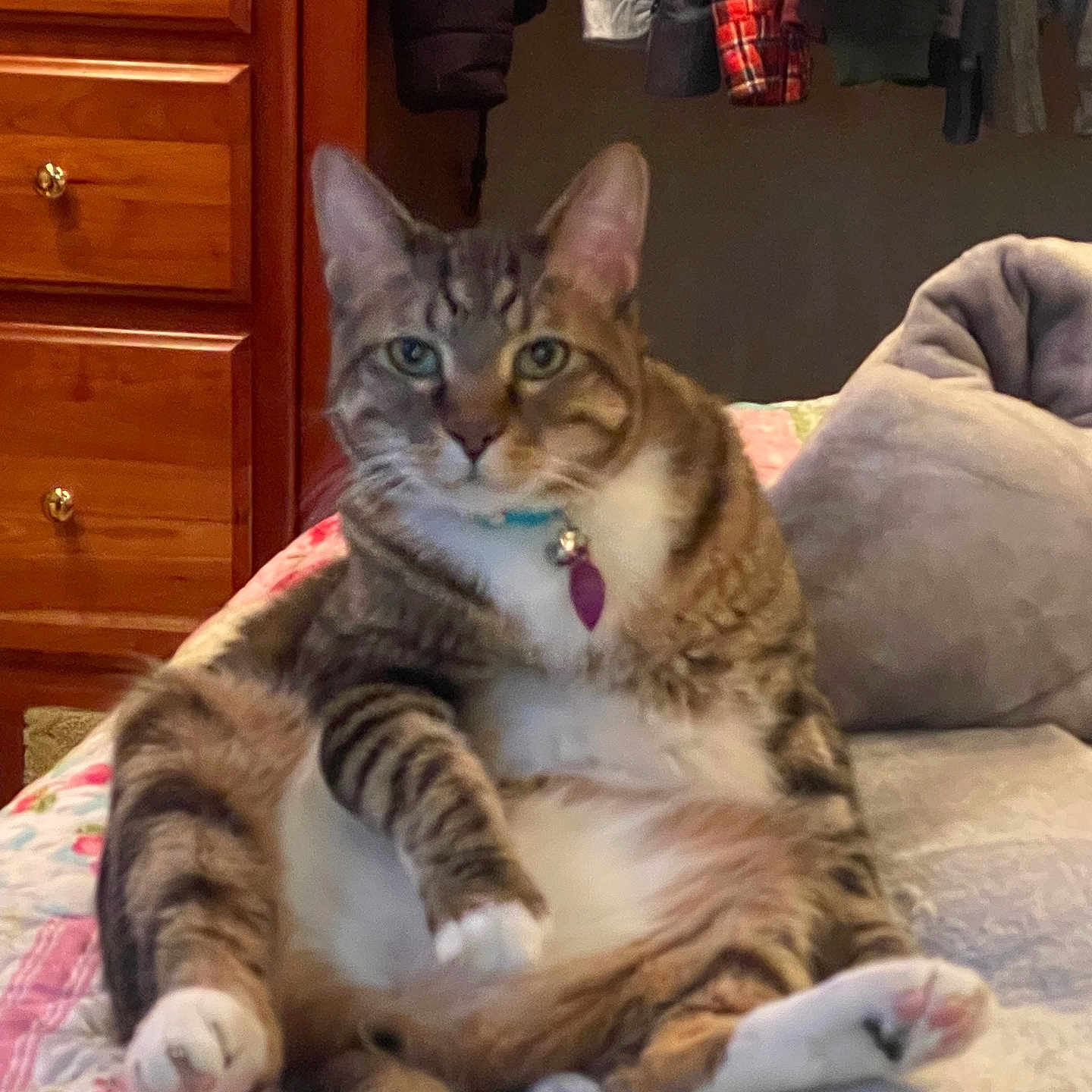 Mittens