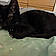 Salem
