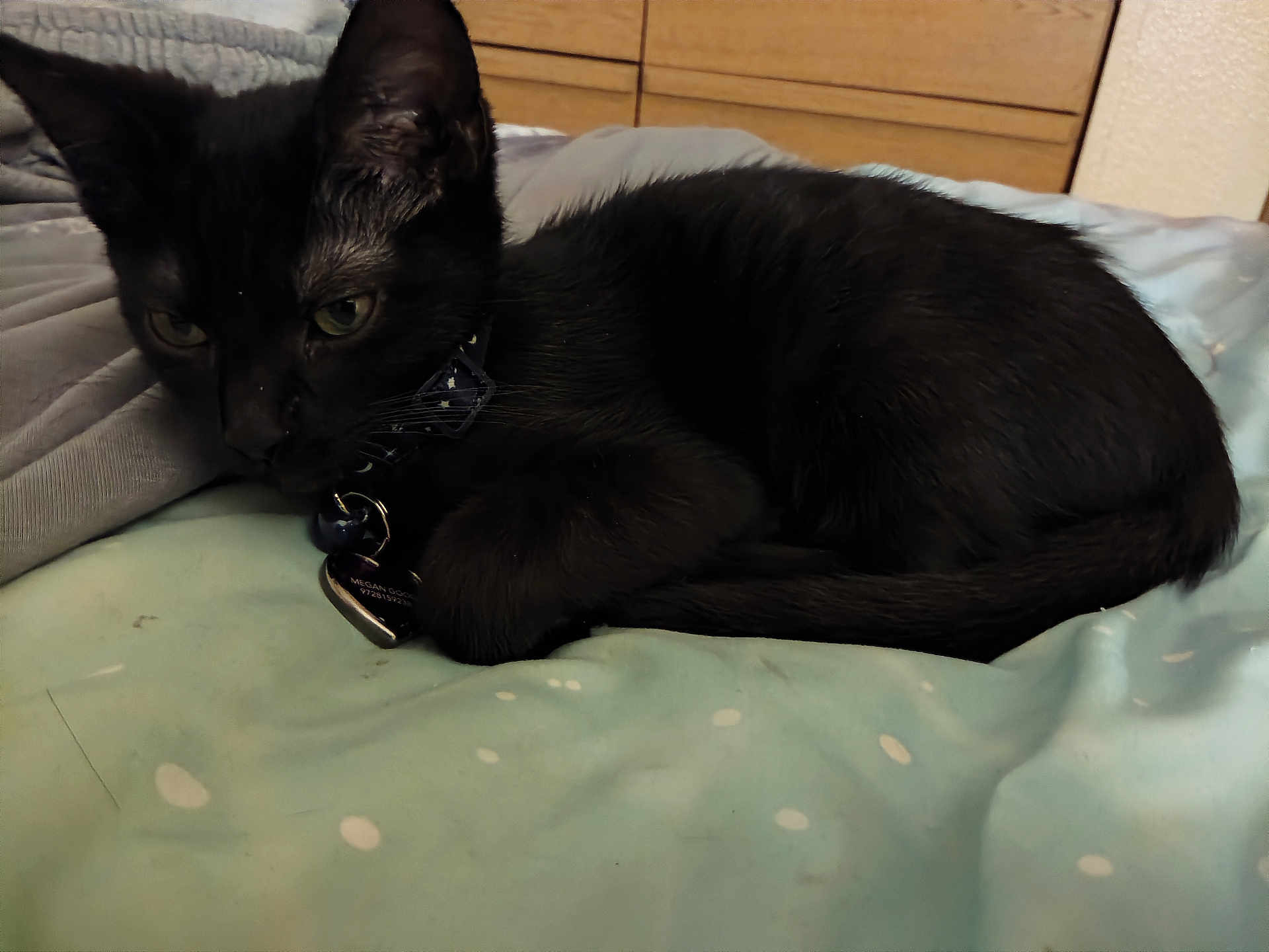 Salem