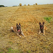 Briska et Edexe participe au concours pour gagner de l'argent avec cette photo :