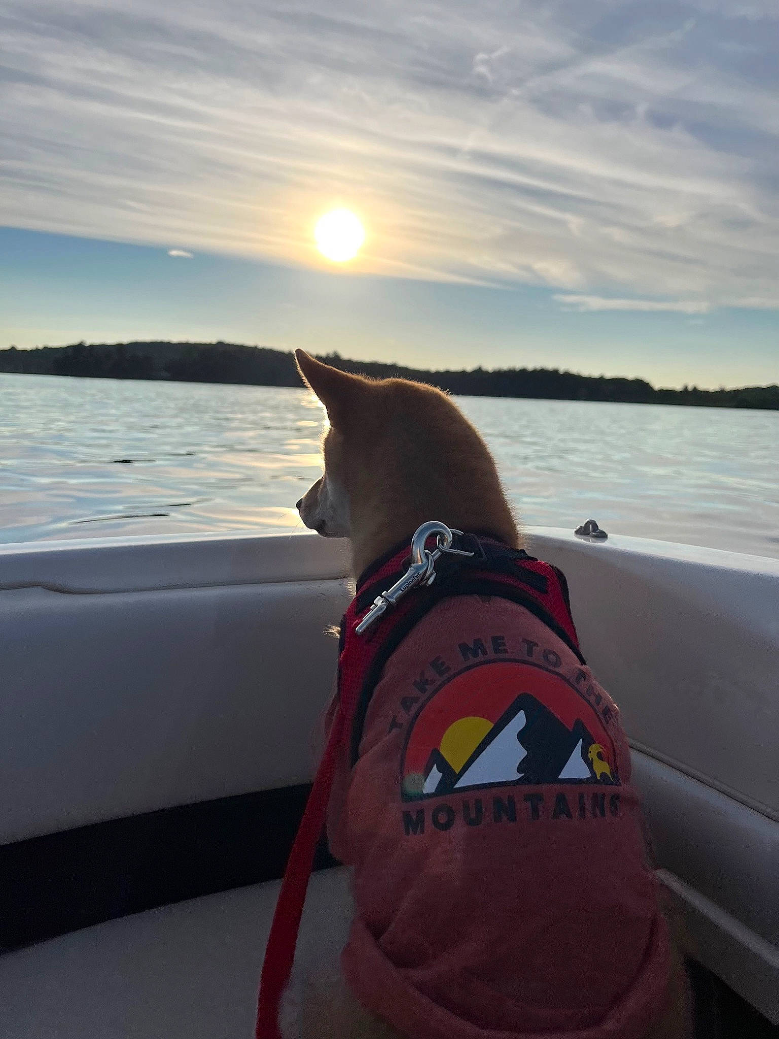Kenji joined the competition — help win amazing prizes! boat, boats_and_boating_equipment_and_supplies, cloud, dog, horizon, lake, lifejacket, naval_architecture, outdoor_recreation, personal_protective_equipment, recreation, sky, sunlight, sunset, travel, vehicle, water, water_transportation, watercraft, waterway
