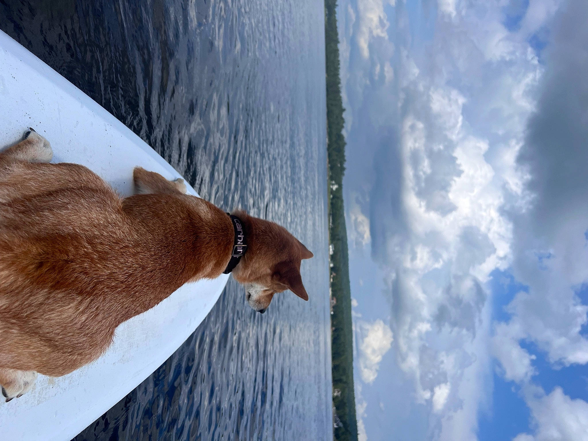 Kenji is registered to the contest to win money with this photo: azure, cloud, cumulus, elbow, electric_blue, fluid, horse, human_body, human_leg, lake, liquid, liver, livestock, reflection, sky, snout, sporting_group, water, winter, wood