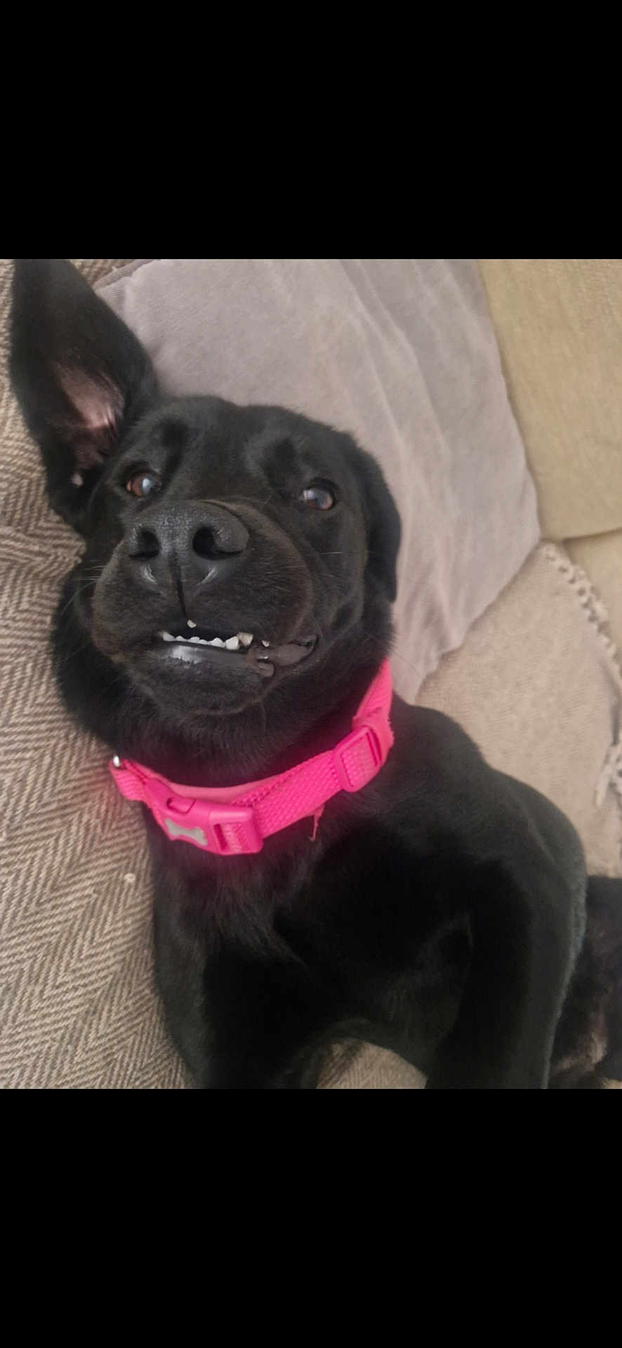 Mia