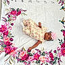 Kimber is registered to the contest to win money with this photo: baby, infant, flower_headband, strawberry_outfit, blanket, floral_pattern, pink_flowers, purple_flowers, hummingbirds, white_blanket, carpet, lying_down, cute, adorable, small_hands, small_feet, baby_clothing, portrait, indoor, colorful