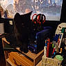 black_cat, scissors, pens, desk, figurine, owl, miniature_building, monitor, castle, fantasy, shadow, stationery, container, wooden_shelf, orange_bag, paper, indoor, decor, clutter, dark