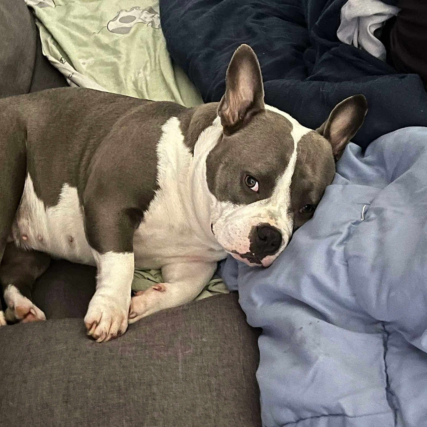 Valium