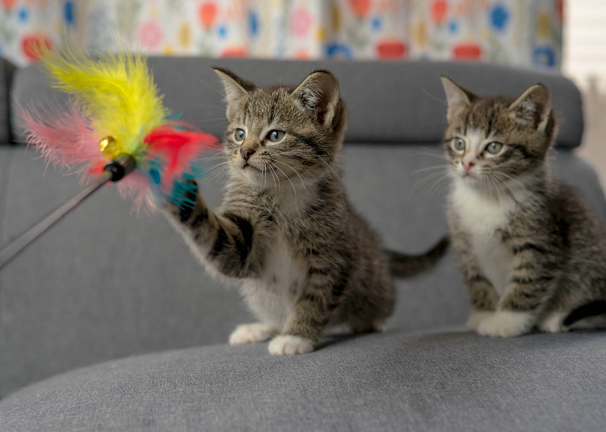 Saoirse And Tipperary