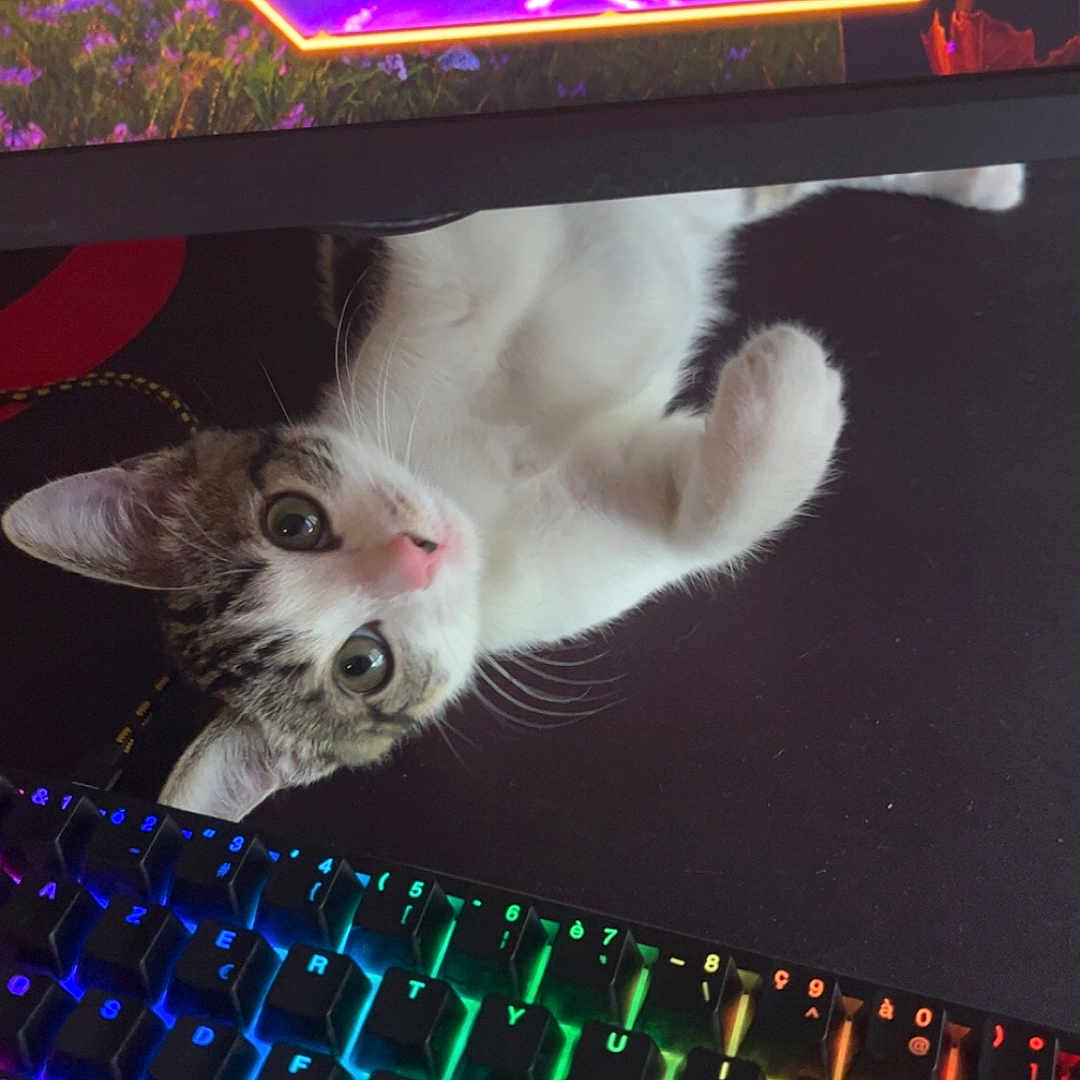 Pixel