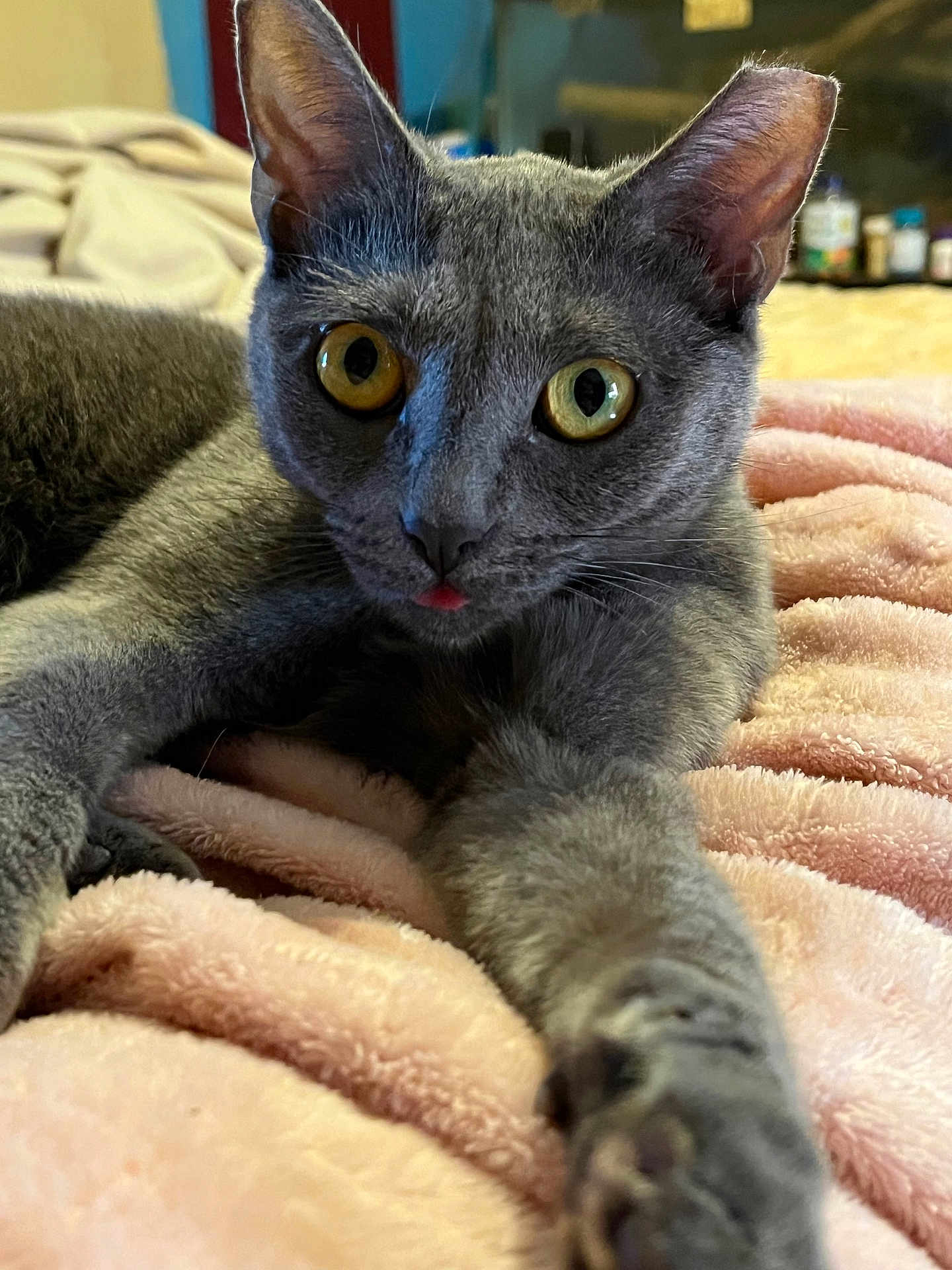 Trouble