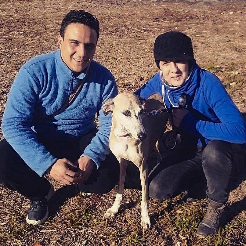 Vanille a rejoint le concours — aidez-le/la à gagner de superbes lots ! adventure, dog, dog_breed, dog_like_mammal, fun, greyhound, joy, person, tree, whippet