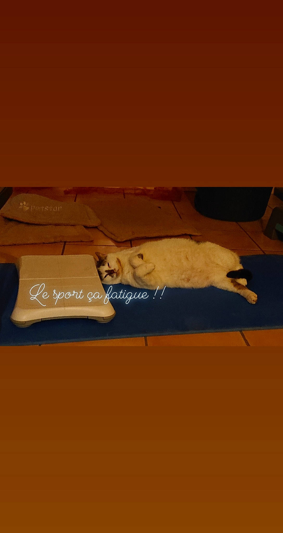 Lilou participe au concours pour gagner de l'argent avec cette photo : beige