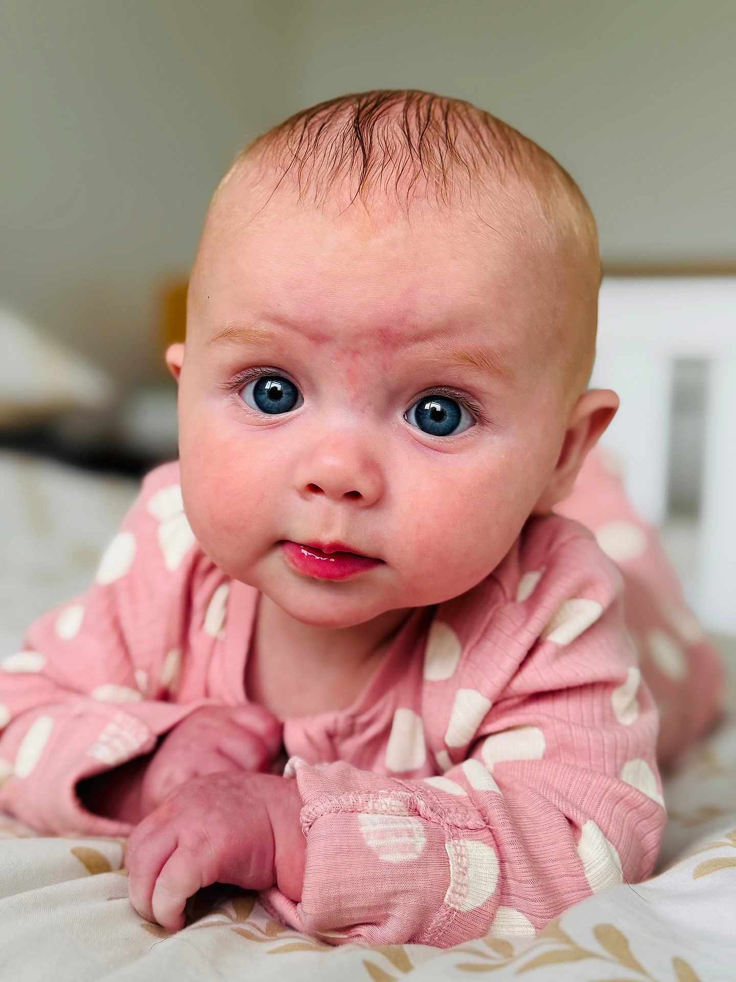 Zoe is registered to the contest to win money with this photo: baby, infant, child, face, blue_eyes, pink_clothing, polka_dots, close_up, portrait, cute, curious, skin, hands, soft_texture, blanket, lying_down, indoor, head, expression, young