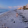 beach, buildings, clouds, coast, dawn, dusk, footprints, outdoor, person, sand, seaweed, shore, shoreline, sky, sunrise, sunset, toddler, urban, vacation, water