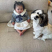 Naomi joined the competition — help win amazing prizes! baby, child, dog, couch, indoor, cute, pet, fur, white, black, grey_sweater, white_skirt, hairstyle, two_ponytails, sitting, looking, curious, friendship, floor, furniture