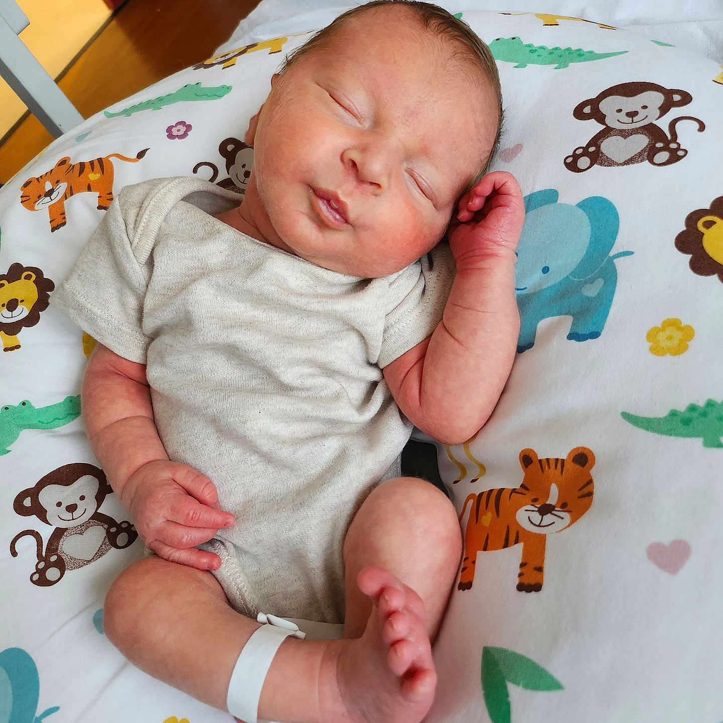 Maximus joined the competition — help win amazing prizes! animal_print, baby, blanket, child, crocodile, cute, elephant, giraffe, hospital_bracelet, indoors, infant, monkey, newborn, peaceful, pillow, portrait, resting, sleeping, soft, tiger