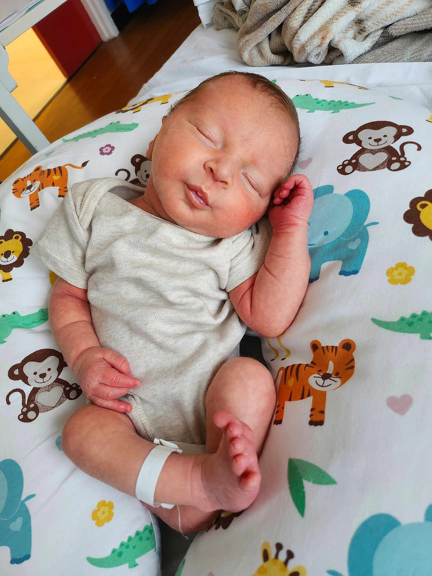 Maximus joined the competition — help win amazing prizes! newborn, baby, infant, sleeping, pillow, animal_print, elephant, monkey, tiger, crocodile, giraffe, blanket, hospital_bracelet, cute, peaceful, indoors, child, portrait, soft, resting