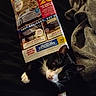 Dennis The Menace joined the competition — help win amazing prizes! cat, black_and_white, magazine, blanket, indoor, pet, curious, paws, text, reading_material, soft_texture, feline, resting, closeup, animal, cozy, dark_background, whiskers, ears, eyes