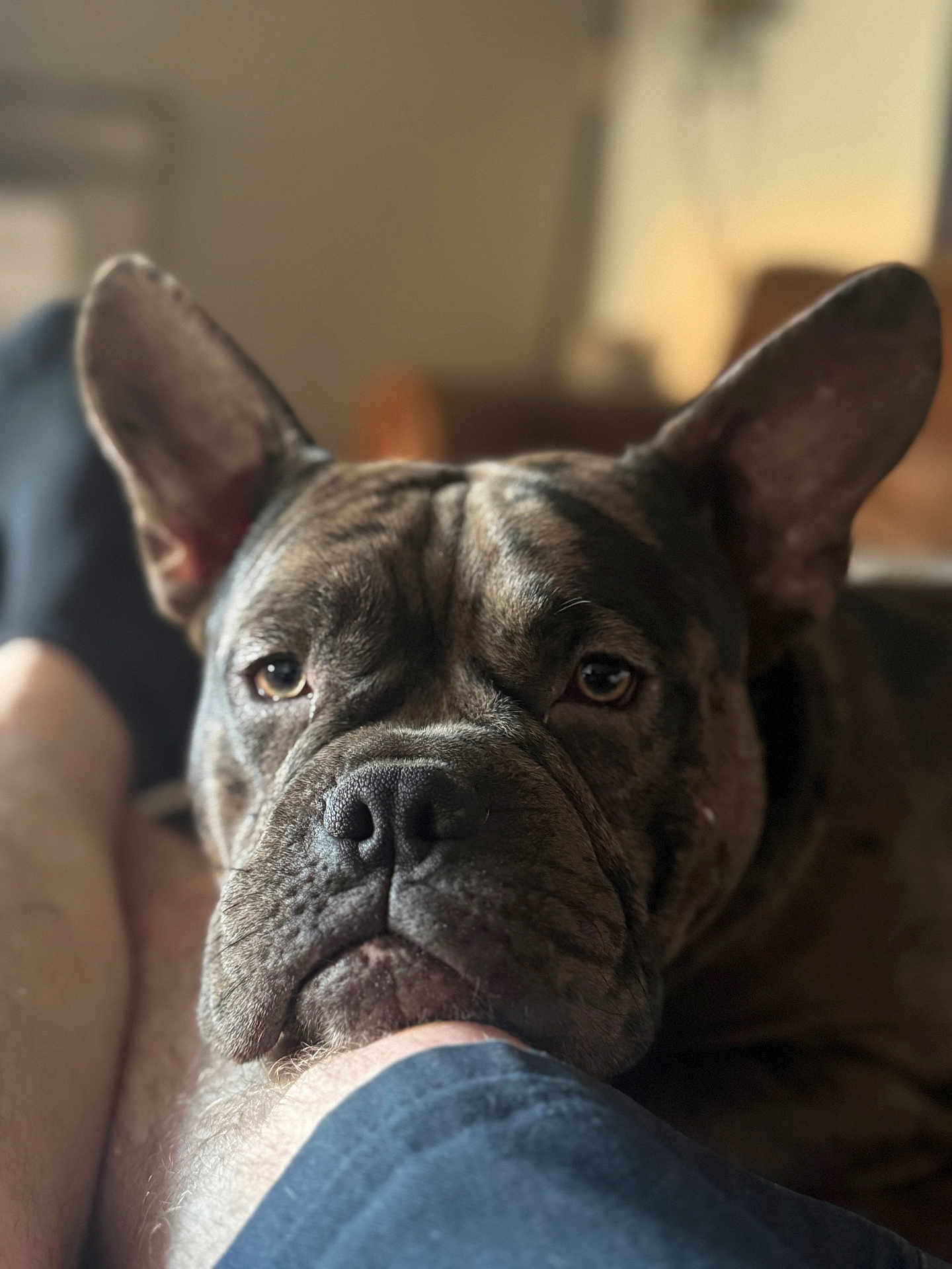 Ruger