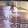 child, splashing, puddle, wet_pavement, night, reflection, lights, nike, sweatshirt, joy, play, outdoor, water, concrete, footwear, casual_clothing, happiness, movement, person, urban