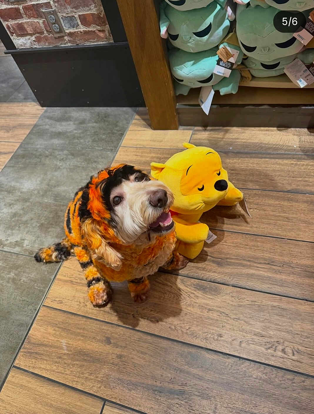 Denver Thee Doodle joined the competition — help win amazing prizes! dog, costume, plush_toy, winnie_the_pooh, wooden_floor, store, shelf, toy, pet, animal, indoor, happy, smiling, orange, black, yellow, cute, pet_clothing, floor_tile, brick_wall