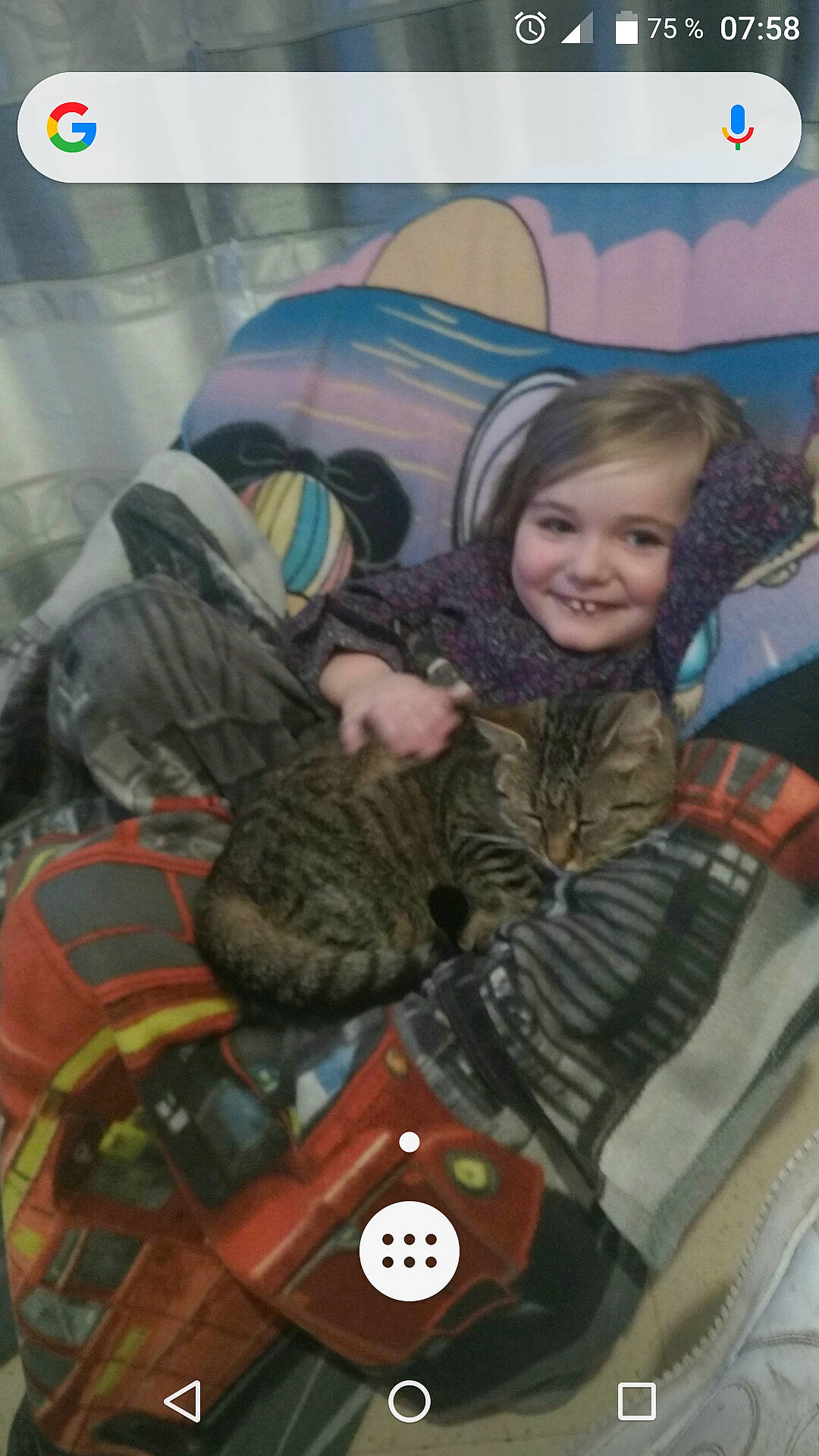 Maromme a rejoint le concours — aidez-le/la à gagner de superbes lots ! bag, baggage, carnivore, cat, domestic_short_haired_cat, electronic_device, felidae, fun, fur, hug, joy, luggage_and_bags, person, recreation, room, sitting, small_to_medium_sized_cats, smile, textile, toddler