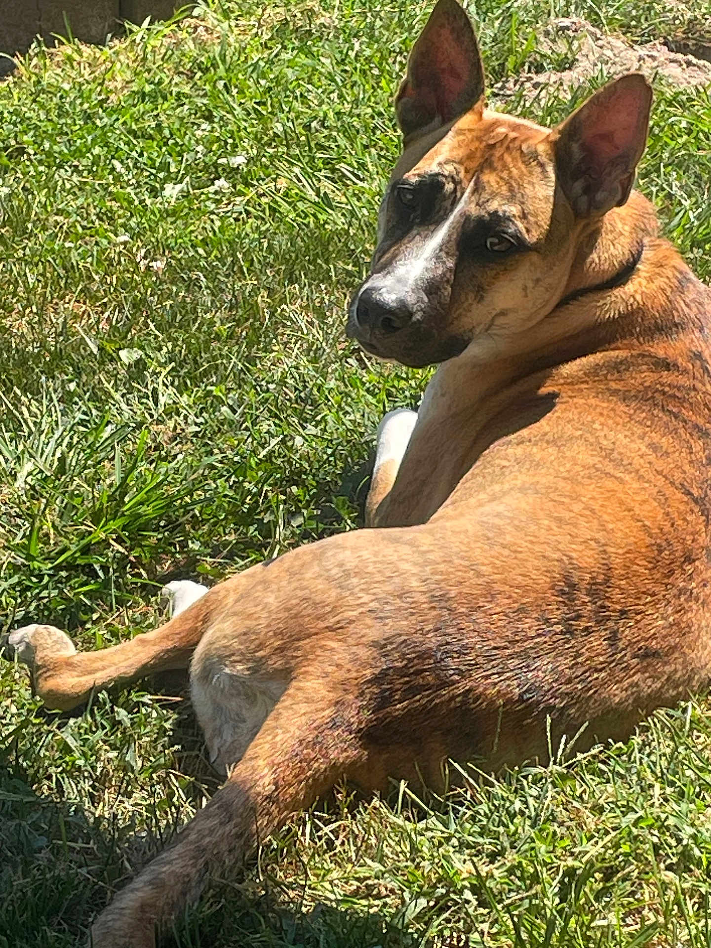 Chloe